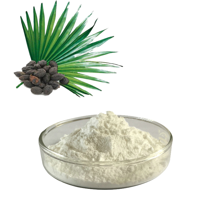 Hvad er så palmeekstrakt? Og hvad er fordelene ved Saw Palmetto Extract?