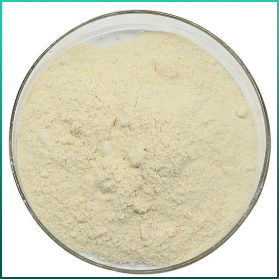 Xanthan Gum